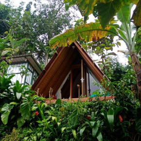 ECO Bedugul adventurer camp